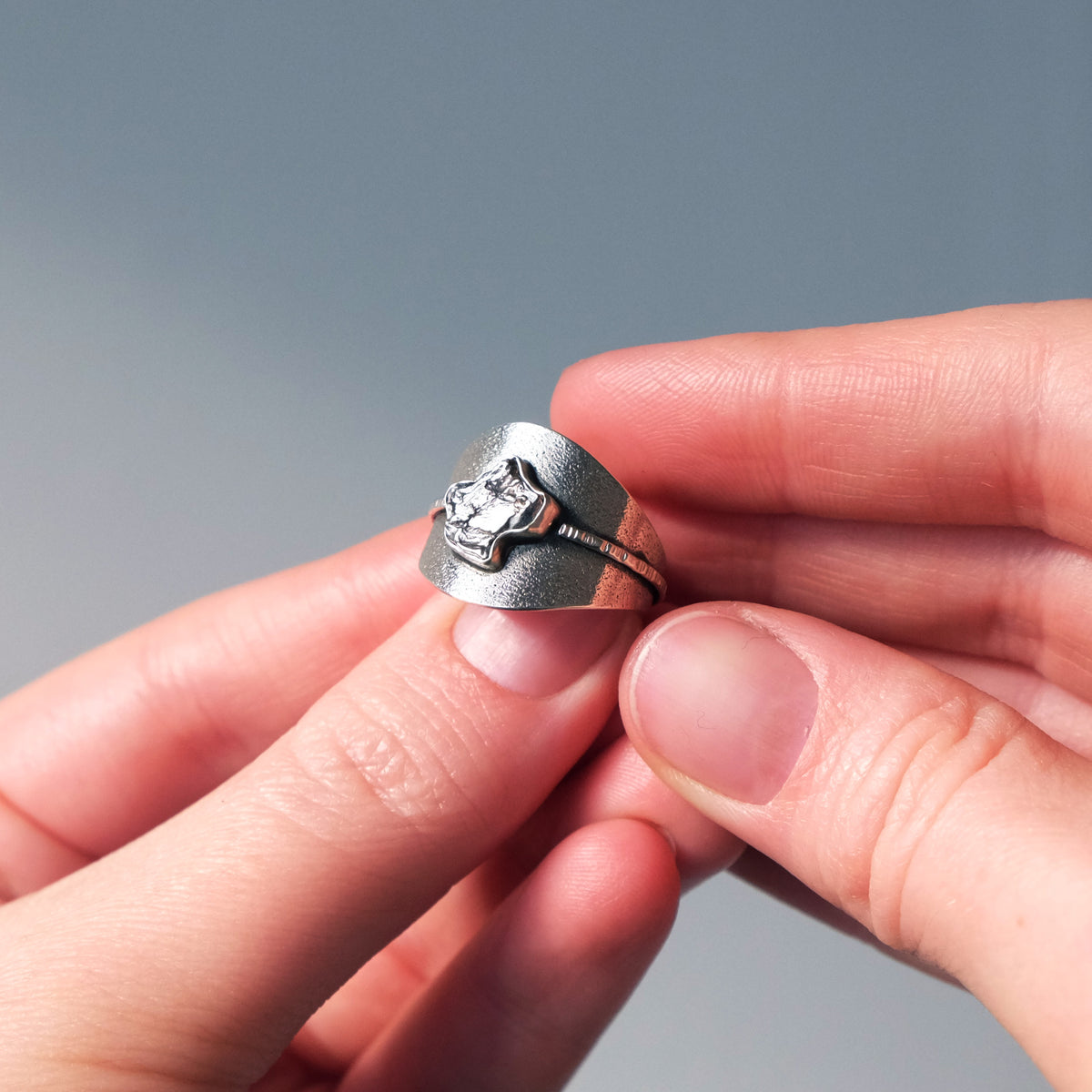Meteorite Saddle Ring - Size 8
