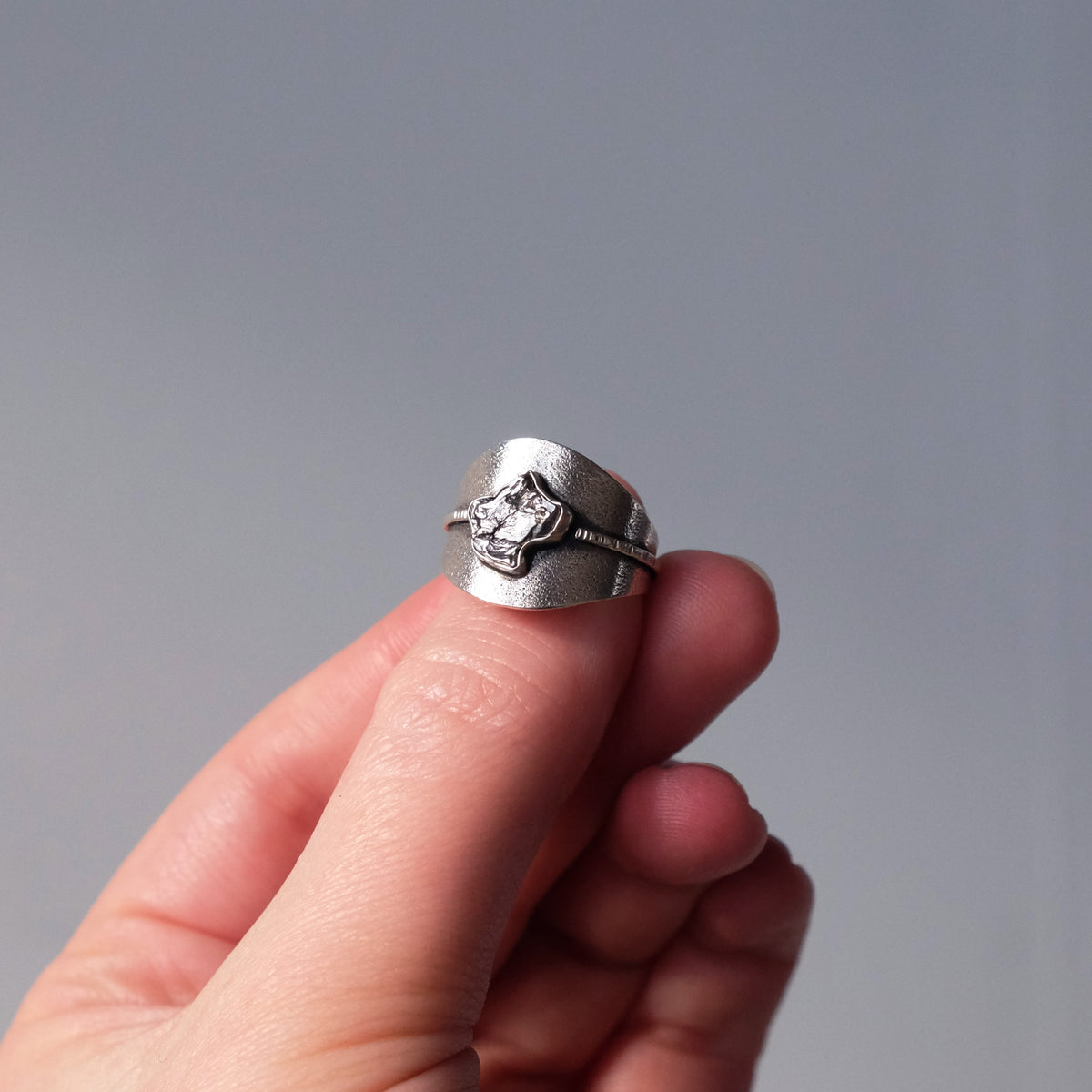Meteorite Saddle Ring - Size 8