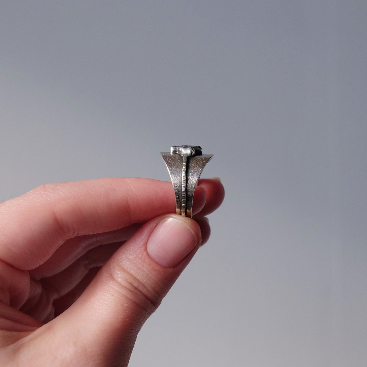 Meteorite Saddle Ring - Size 8